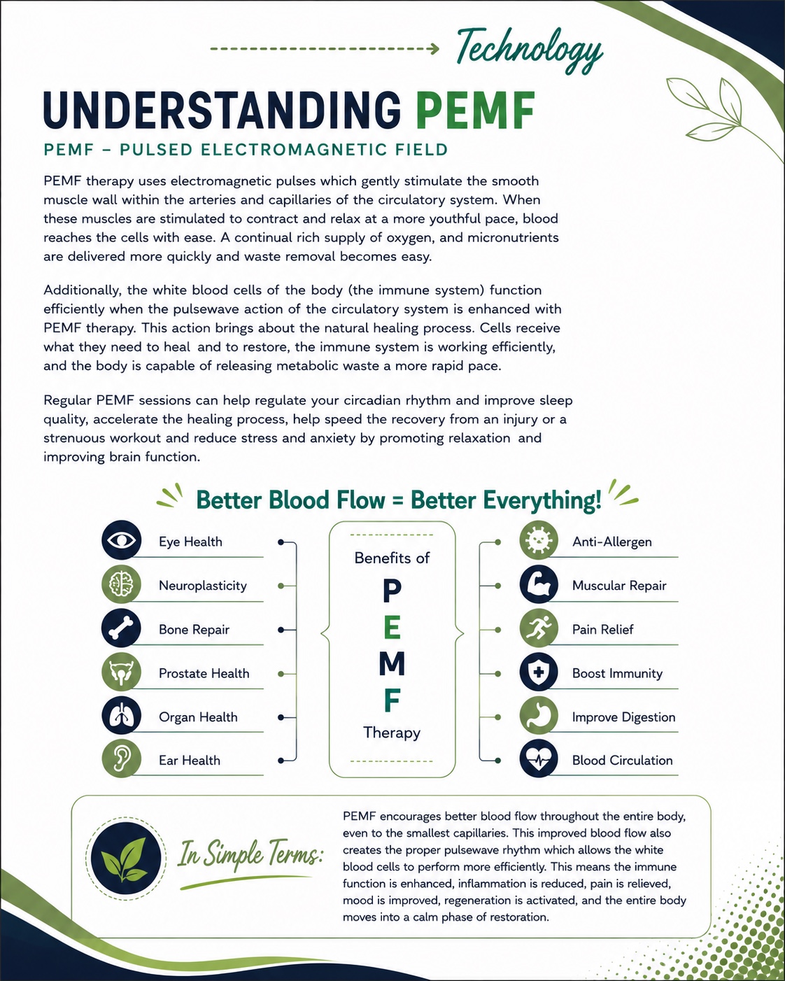 Understanding PEMF educational infographic